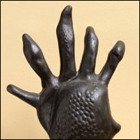 Rothadó kéz (Ötujjú kéz)