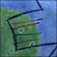 Zöld-kék kompozíció